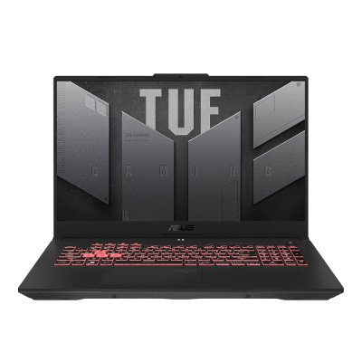Ноутбук 17.3" Asus TUF Gaming A17 FA707NUQ-HX010(90NR0QH5-M000D0) фото