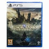 Игра Hogwarts Legacy (PS5) фото. Фото №1